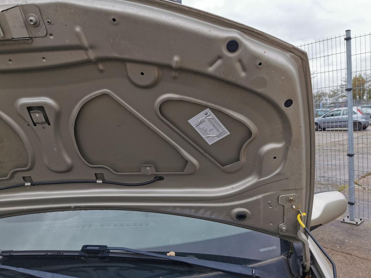 Renault Clio III Motorhaube Haube Klappe Deckel Bonnet vorn TED11 Beige Pepper