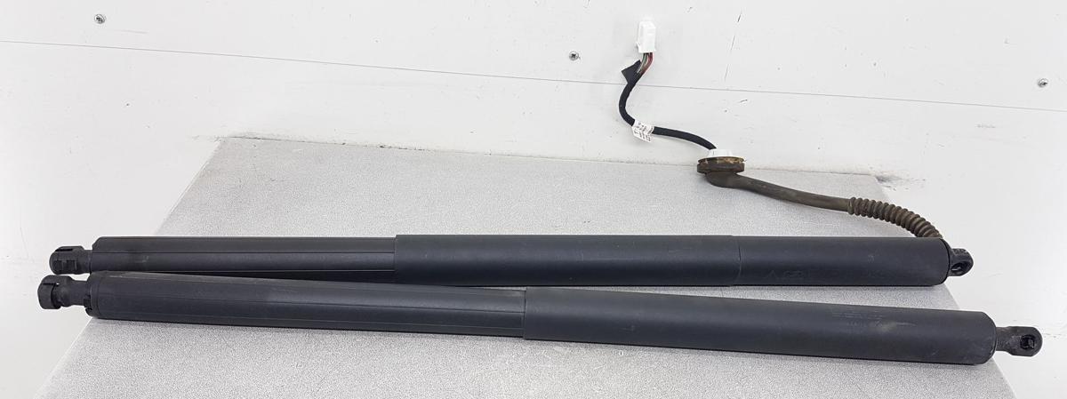 Tesla Model Y Heckklappend&auml;mpfer Gasdruckd&auml;mpfer Heckklappe Bj2022 Satz