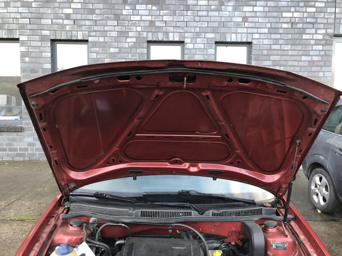 VW Golf 4 1J IV Motorhaube Haube Klappe Deckel vorn LC3K Canyonrot Delle Beule