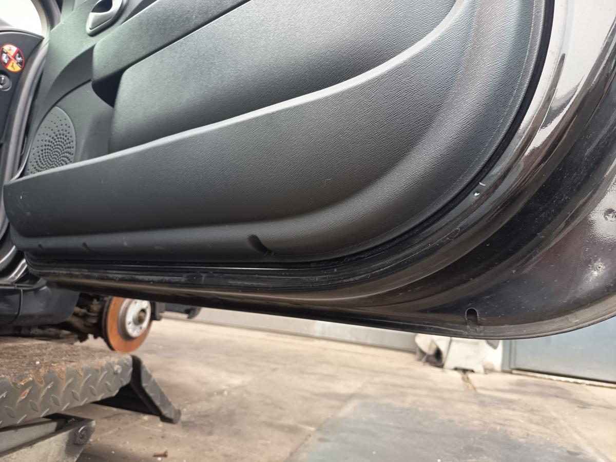 Renault Twingo II original T&uuml;r vorn rechts Beifahrer Rohbau 676 Perlmuttschwarz