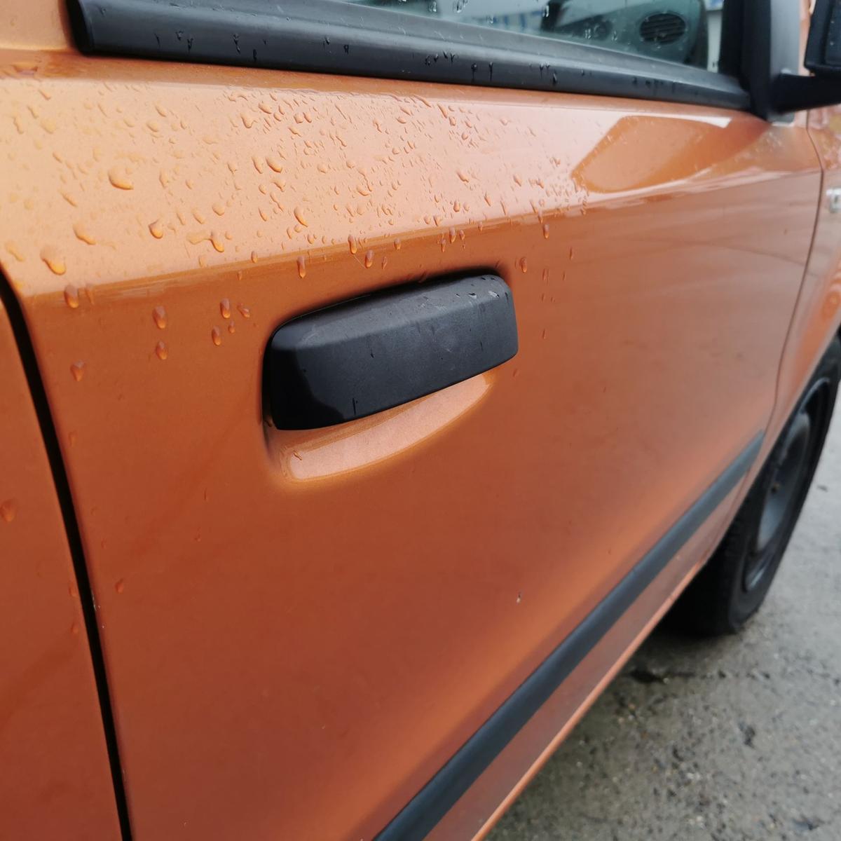 Fiat Panda 169 Beifahrertür Tür Autotür Rohbau vorn rechts 505 Arancio New Batik