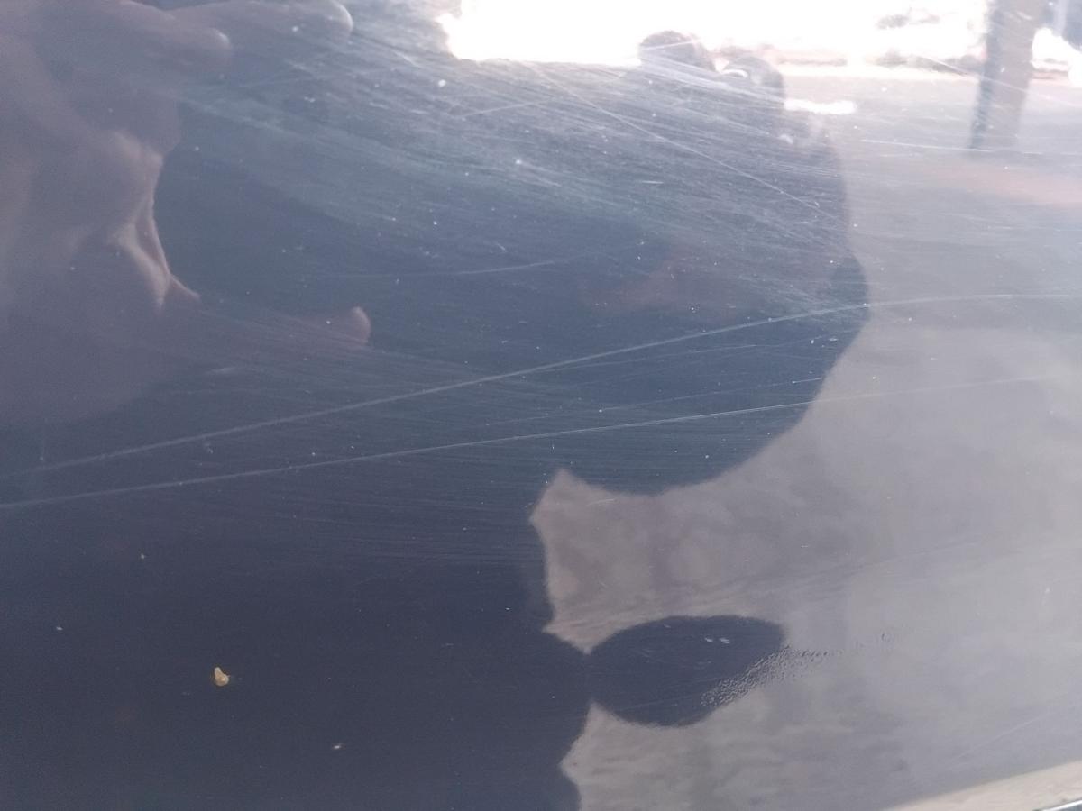 Ford Focus 2 DA3 T&uuml;r vorn rechts Beifahrert&uuml;r Blazerblau Facelift BJ2010