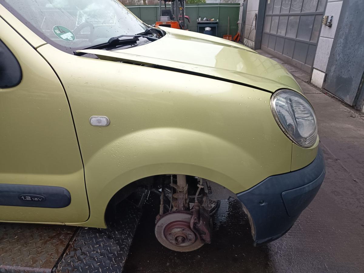 Renault Kangoo KC original Kotfl&uuml;gel rechts TED99 Limettengr&uuml;n ab 2003