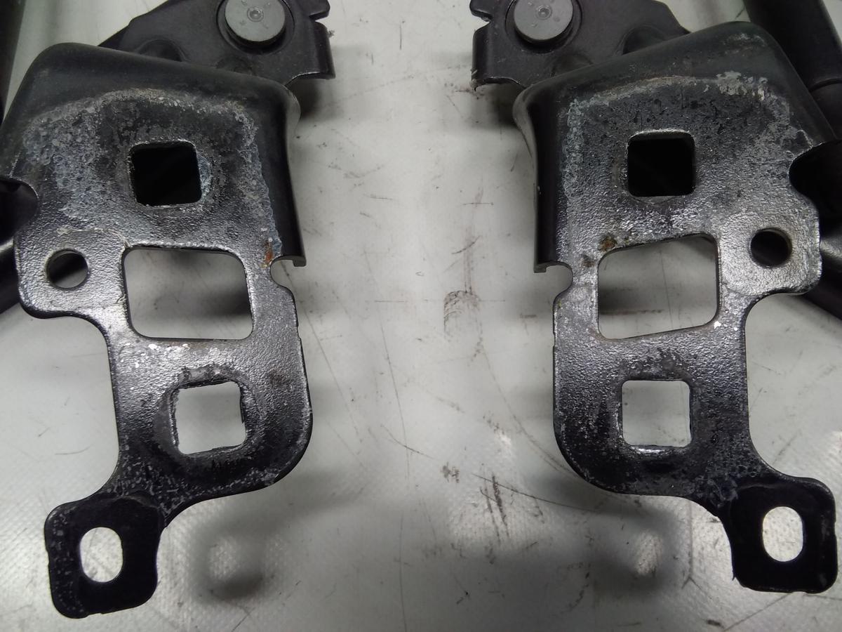 Tesla Model Y RWD original Satz Motorhaubenscharniere unfallfrei BJ2023