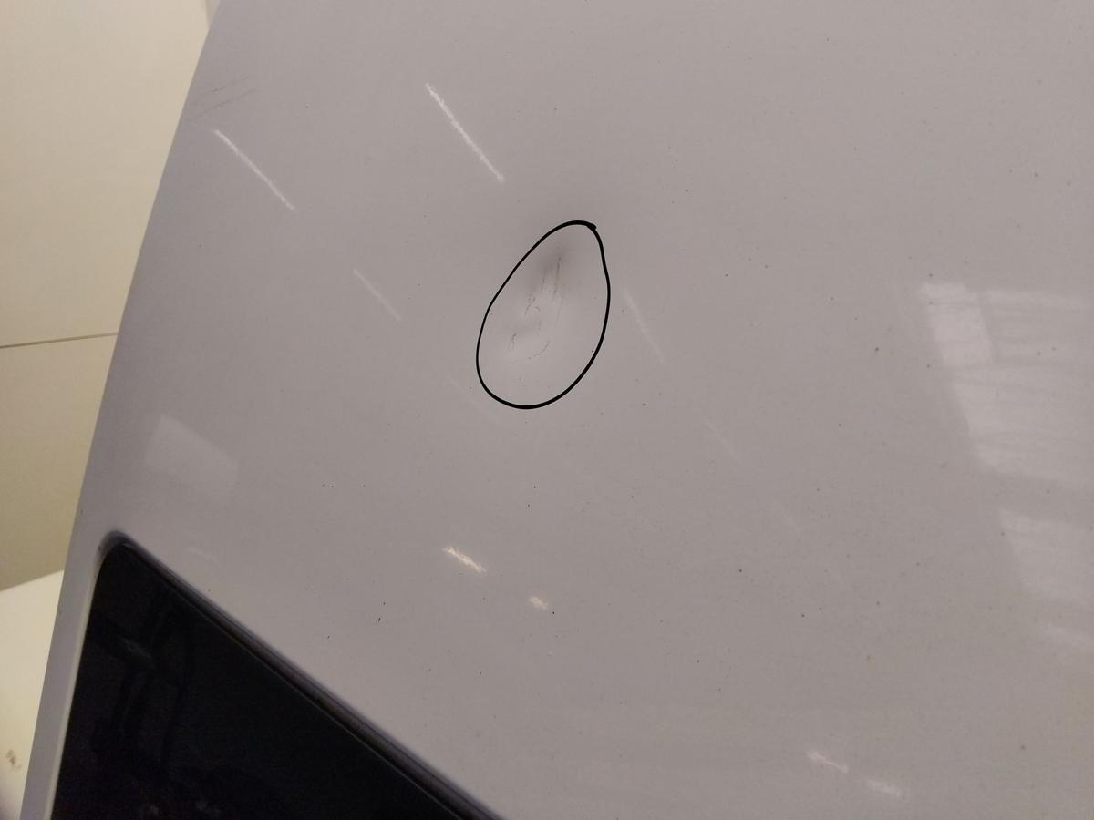 Ford Transit 6 TT9 Heckfl&uuml;gelt&uuml;r Heckt&uuml;r links Bus Mittelhochdach BJ2013 weiss