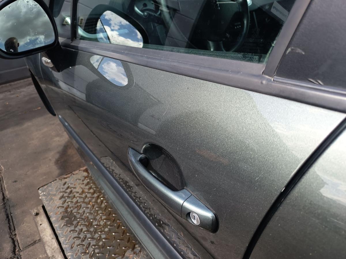 Peugeot 207 original T&uuml;r vorn links Fahrer EZQ Manitobagrau Bj 2009