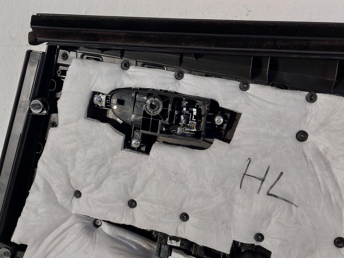 Nissan Leaf ZE1 40kWh T&uuml;rverkleidung hinten links Innenverkleidung Fondt&uuml;r