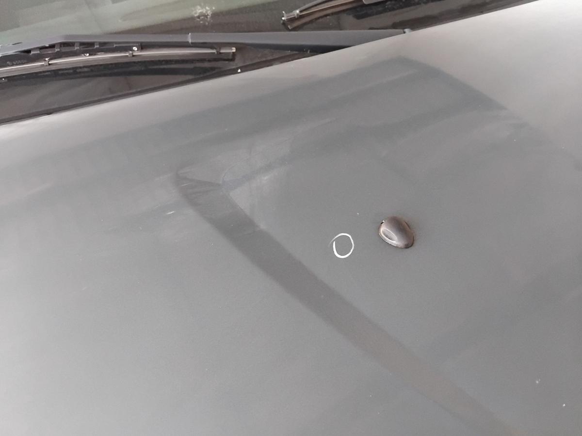 Dacia Sandero 1 original Motorhaube Deckel vorn blaumetallic TERNF BJ2009