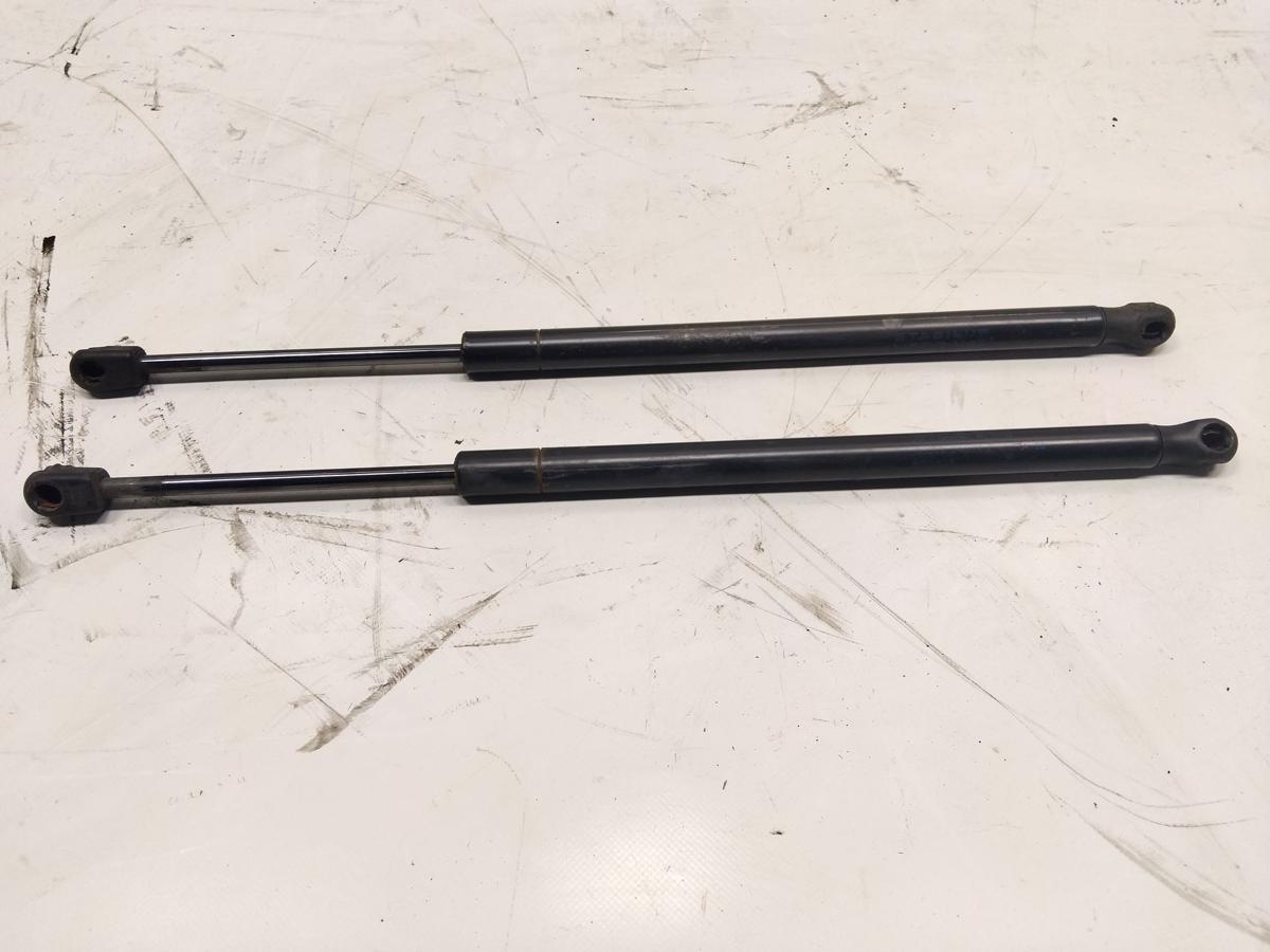 Tesla Model S original Satz Gasdruckd&auml;mpfer Motorhaube BJ2014