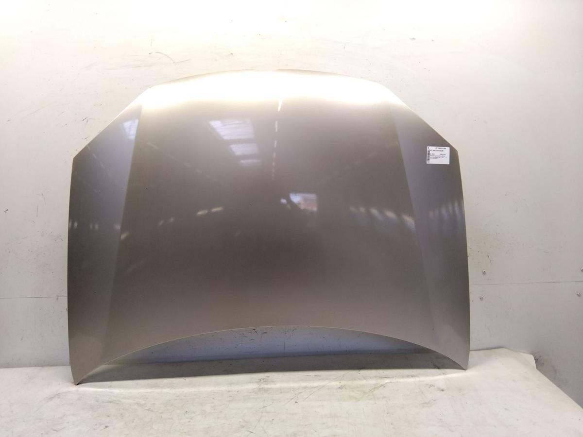 VW Golf 5 1K original Motorhaube wheatbeigemetallic LD1W Bj.2004