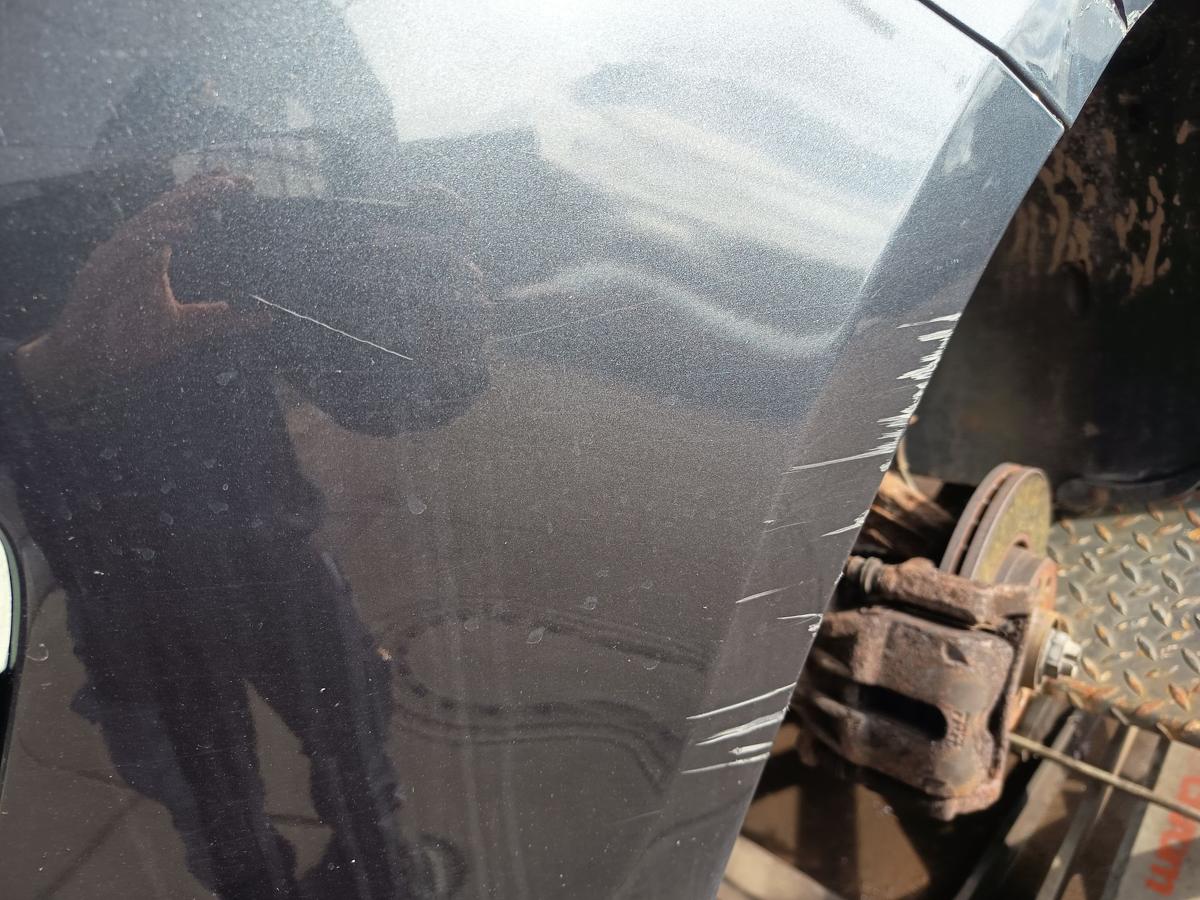 Renault Clio III original Sto&szlig;stange F&auml;nger vorn Front B66 Graphit Bj 2006