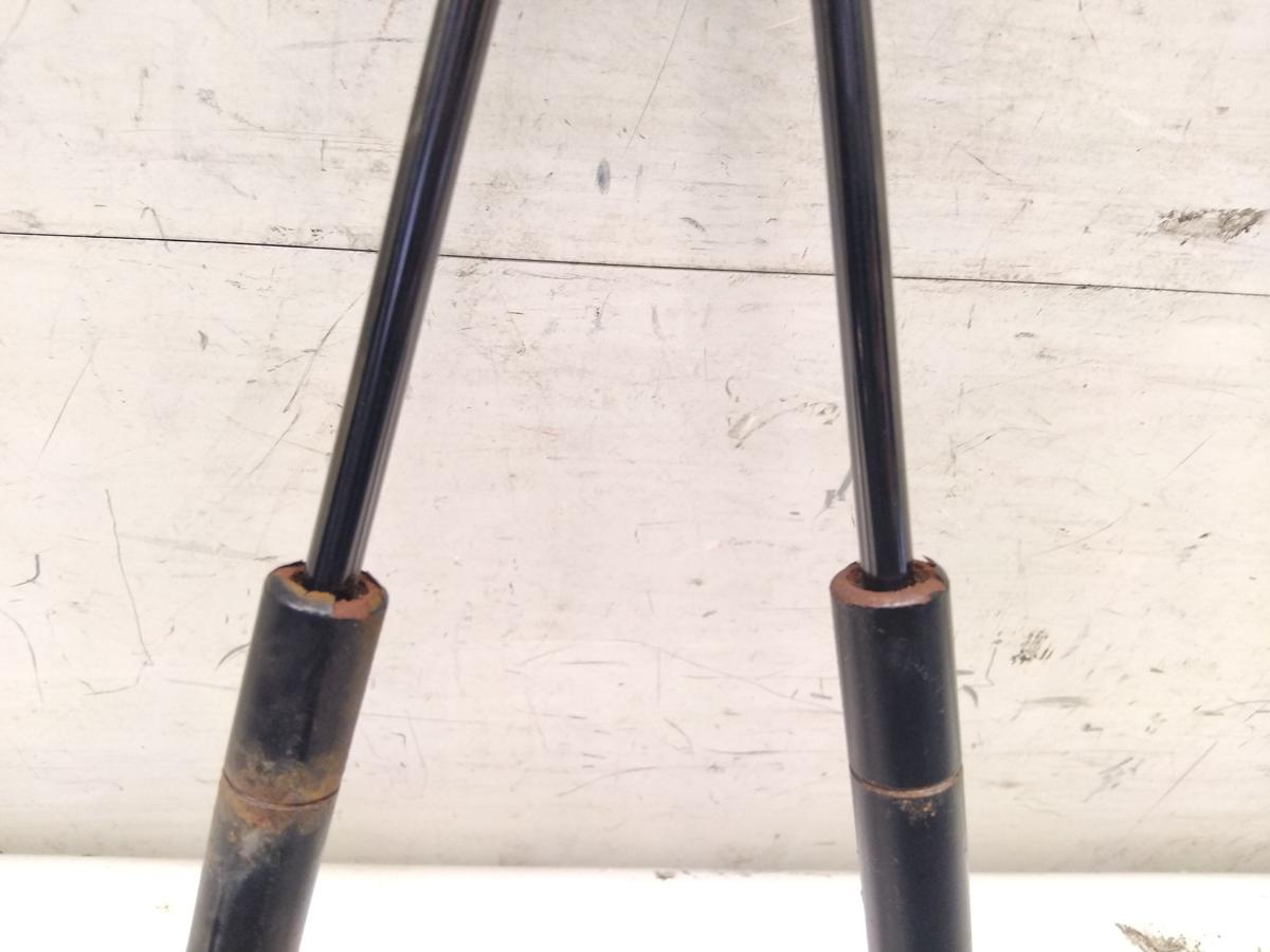 Tesla Model S original Satz Gasdruckd&auml;mpfer Motorhaube BJ2014