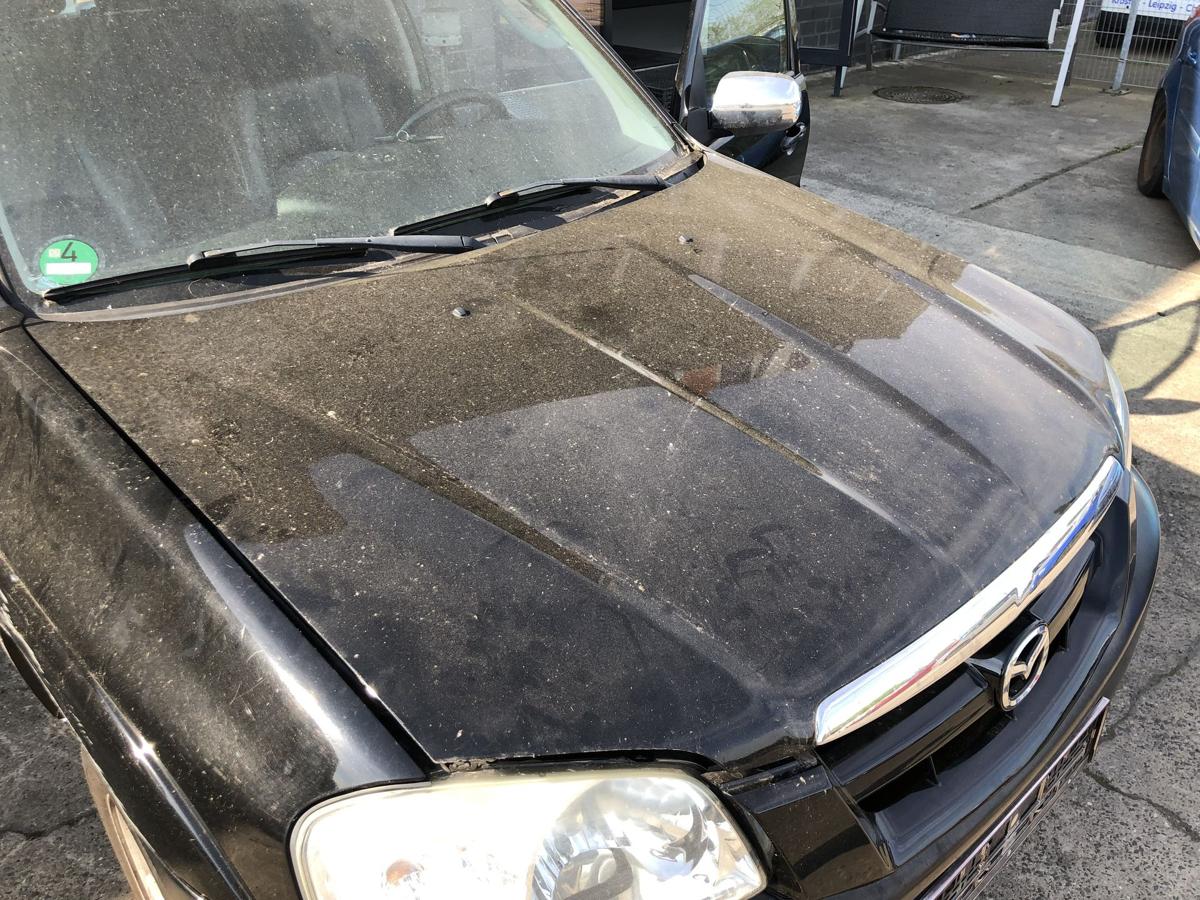 Mazda Tribute EP ab 2004 Motorhaube Haube Klappe Deckel schwarz Steinschläge