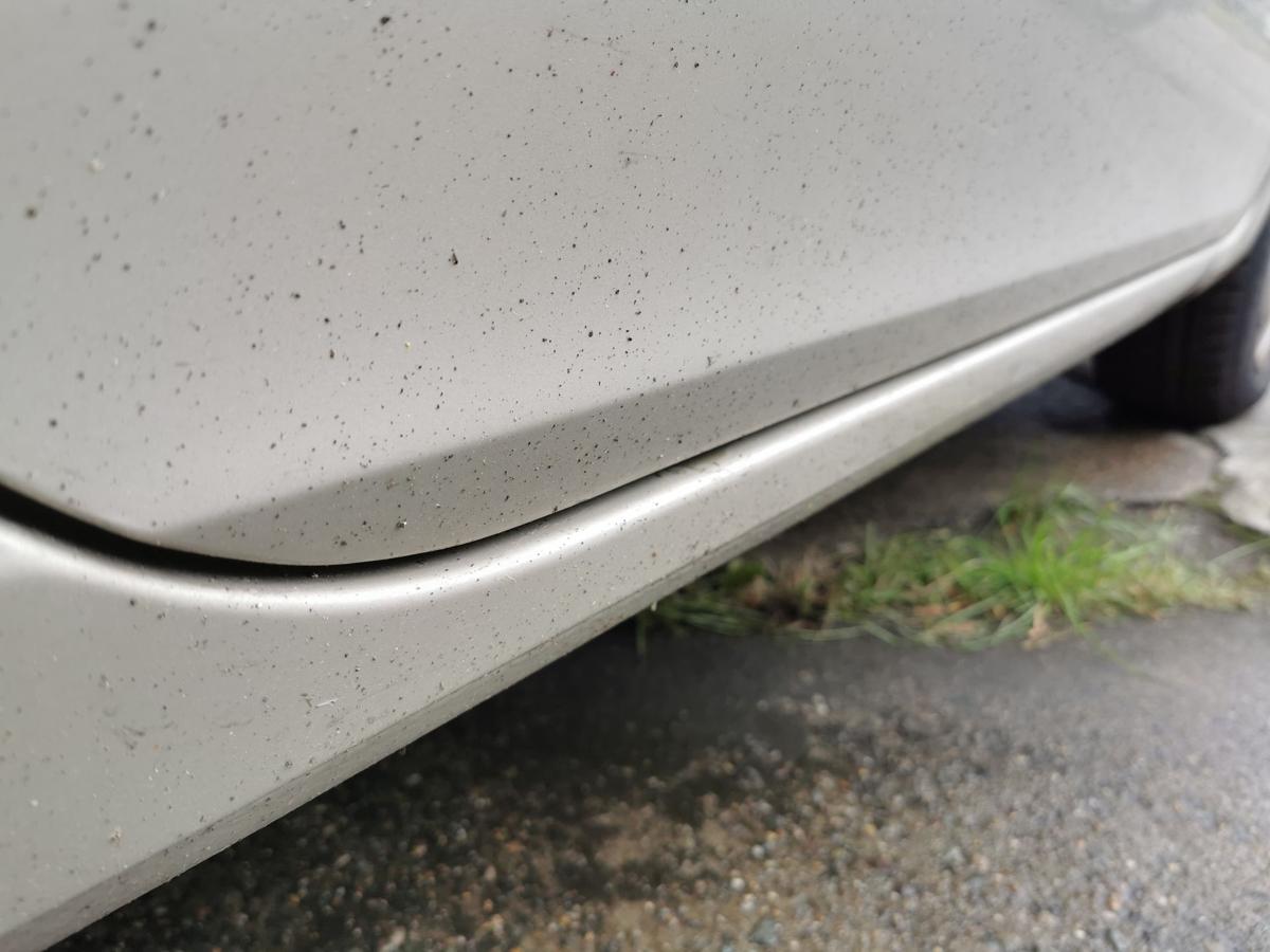 Renault Clio III Fahrertür Tür Autotür Rohbau vorn rechts 3trg TED11 BeigePepper