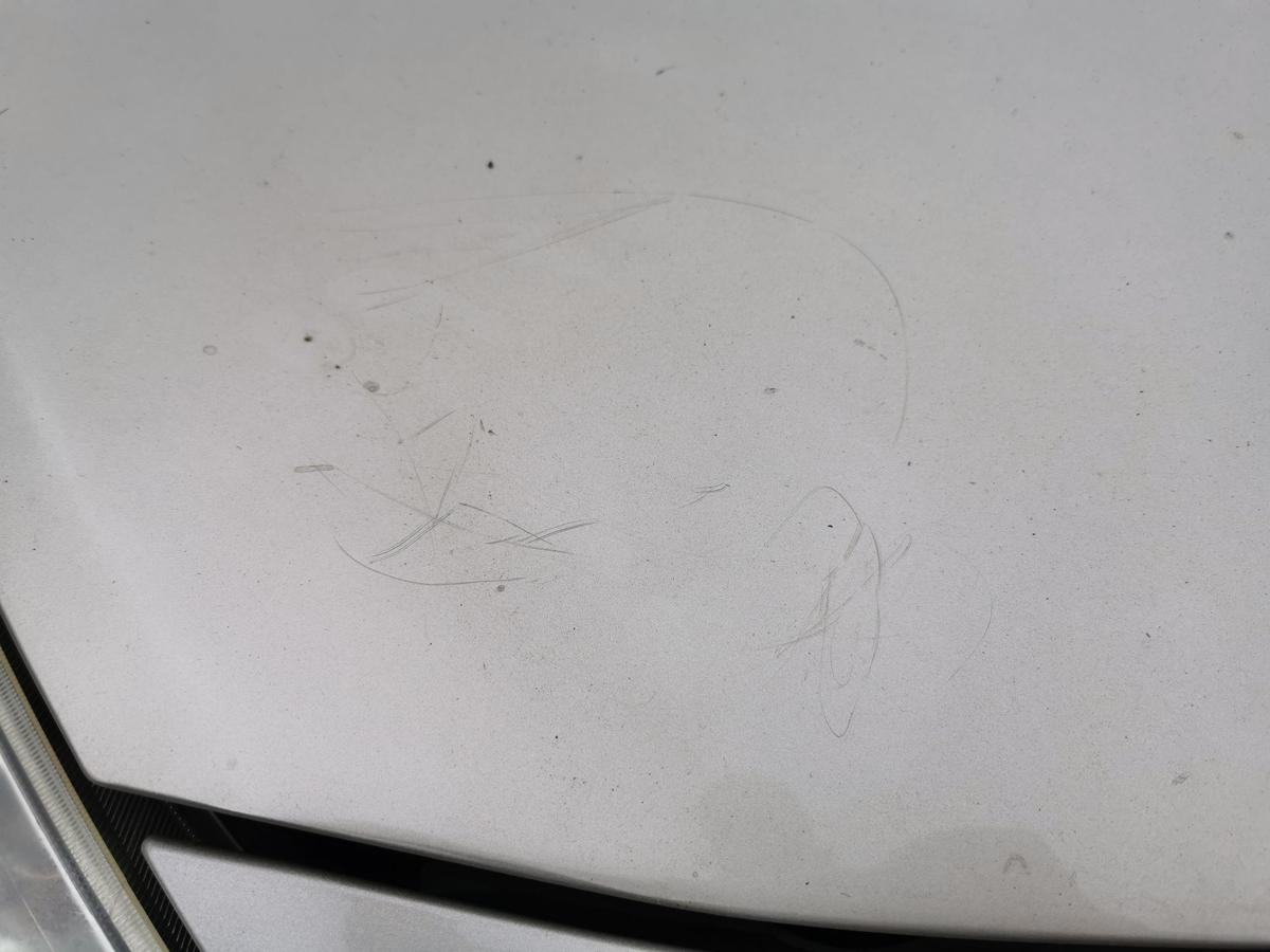 Renault Clio III Motorhaube Haube Klappe Deckel Bonnet vorn TED11 Beige Pepper