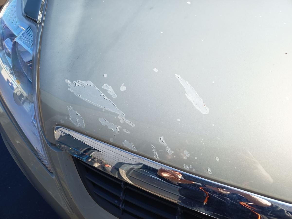 Ford Focus II original Motorhaube Klappe Deckel vorn Front Chill met Bj 2009