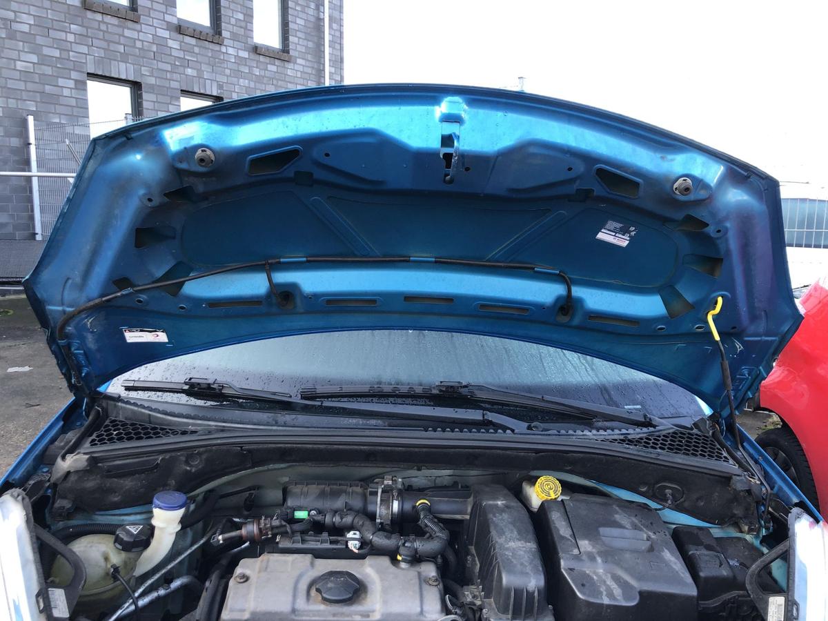 Citroen C3 S Motorhaube Haube Klappe Deckel vorn KGW belle ile