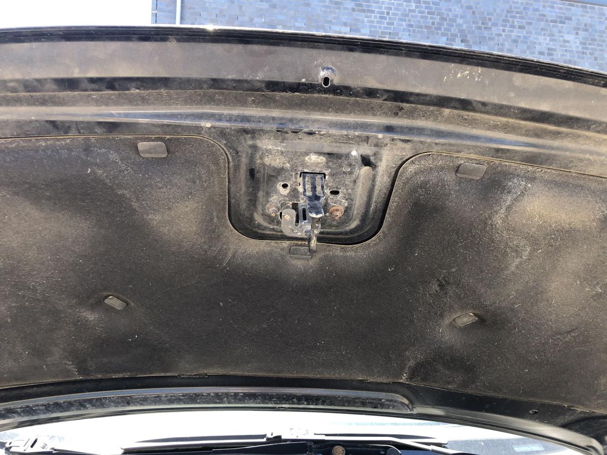 Ford Focus C Max DM2 Motorhaube Haube Klappe Deckel vorn bis 07 Pantherschwarz