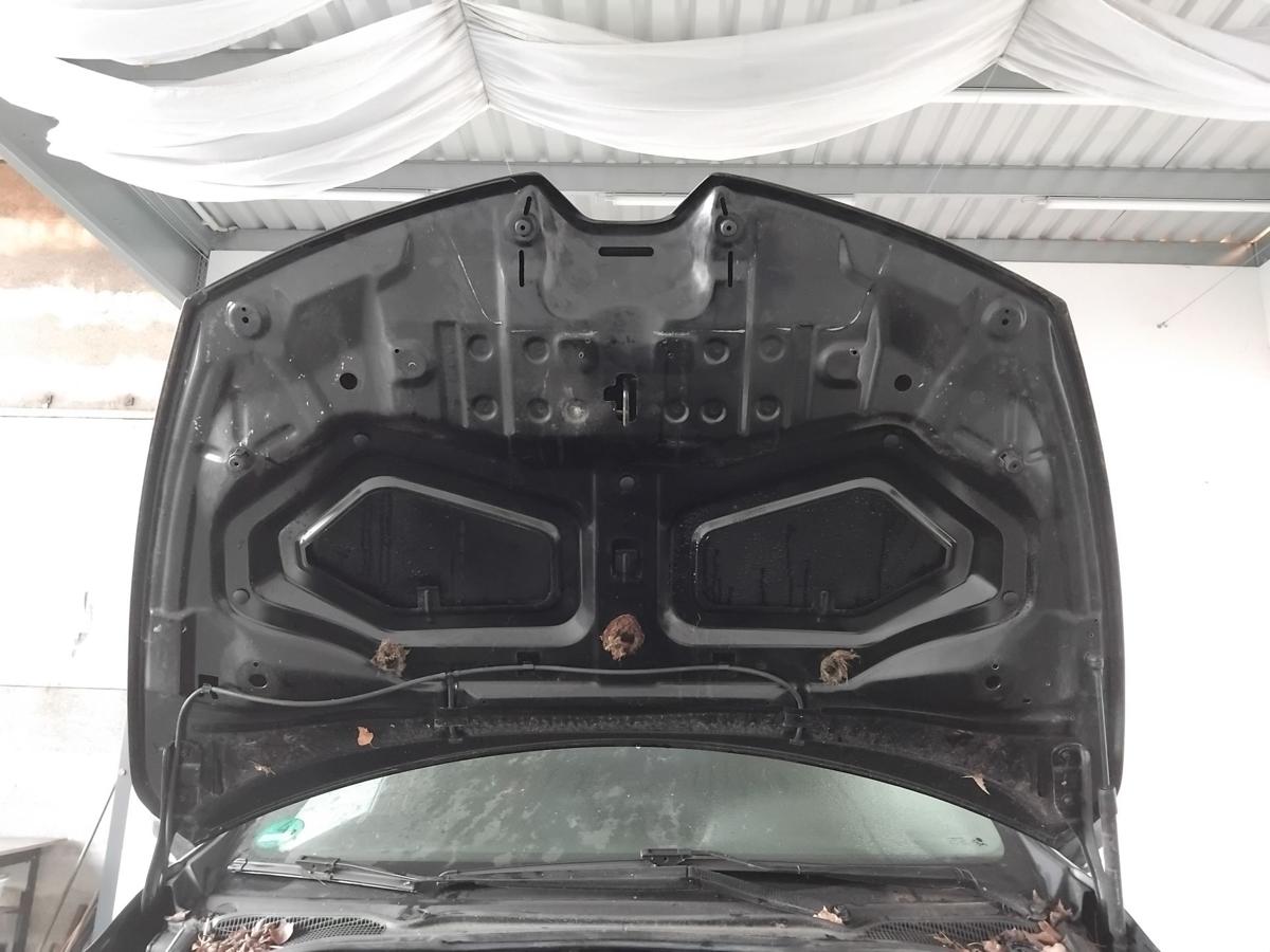 Renault Clio IV X98 orig. Motorhaube Deckel vorn TEGNE Noir Etoile Nacre BJ2016