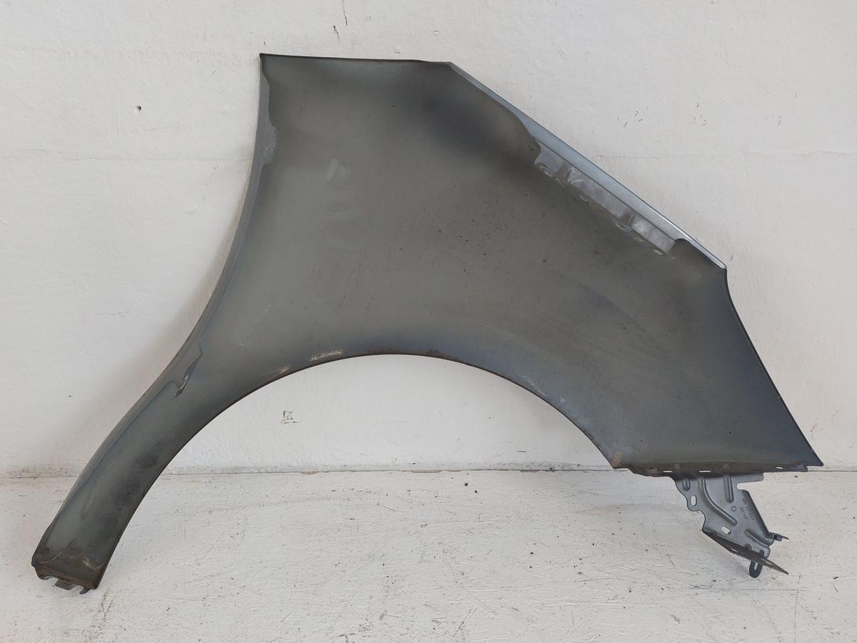 Citroen DS3 Sport Chic Kotfl&uuml;gel vorn links Fahrerseite KTH Thorium Grau