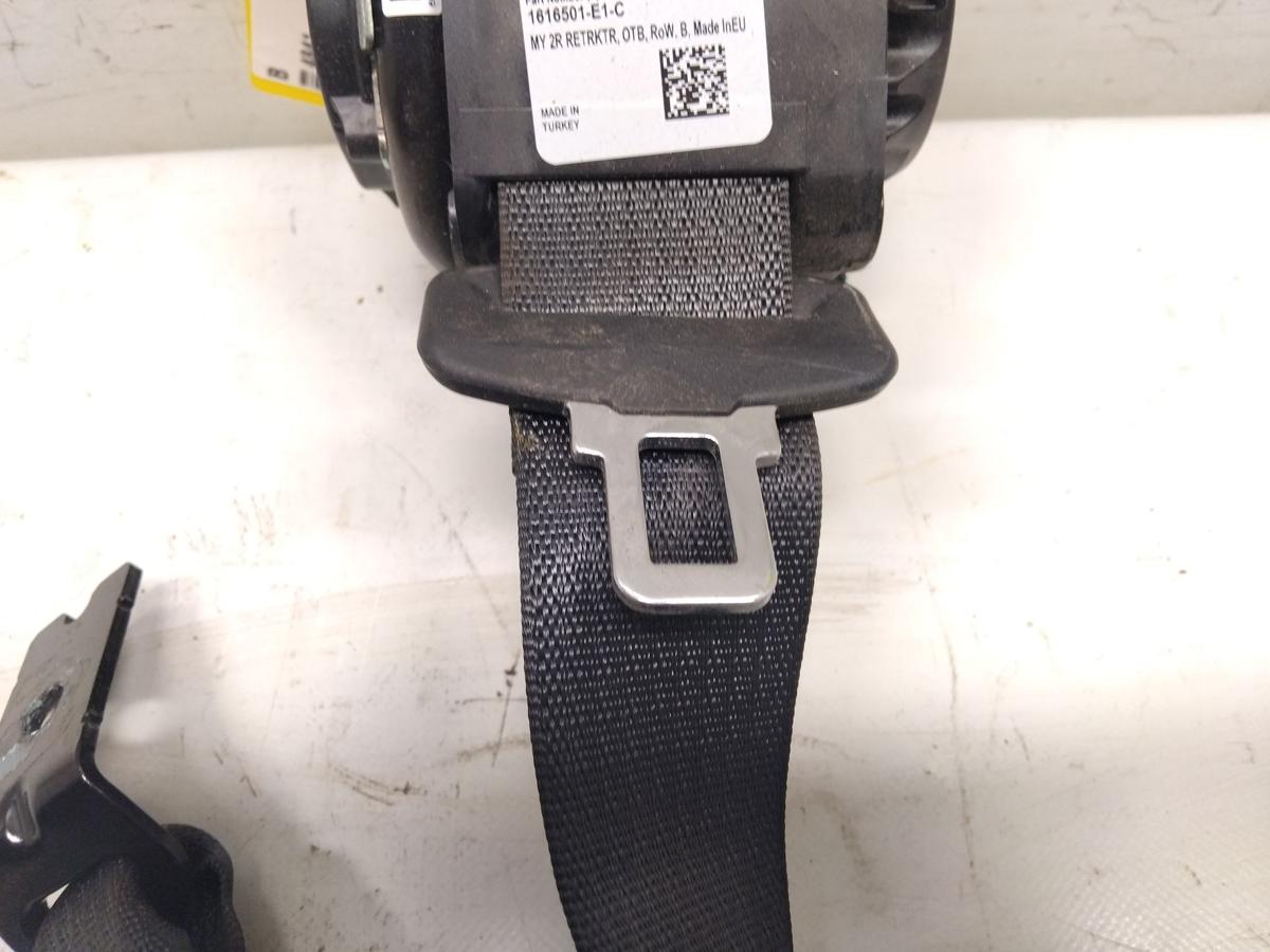 Tesla Model Y original Sicherheitsgurt hinten schwarz unfallfrei BJ2023