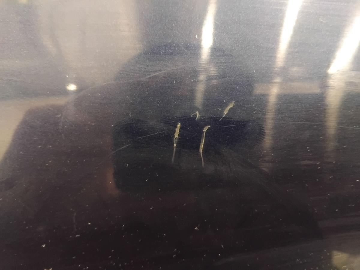 Ford Fiesta JA8 T&uuml;r vorn links Fahrert&uuml;r 3-T&uuml;rer Atlantikblaumetallic BJ2011