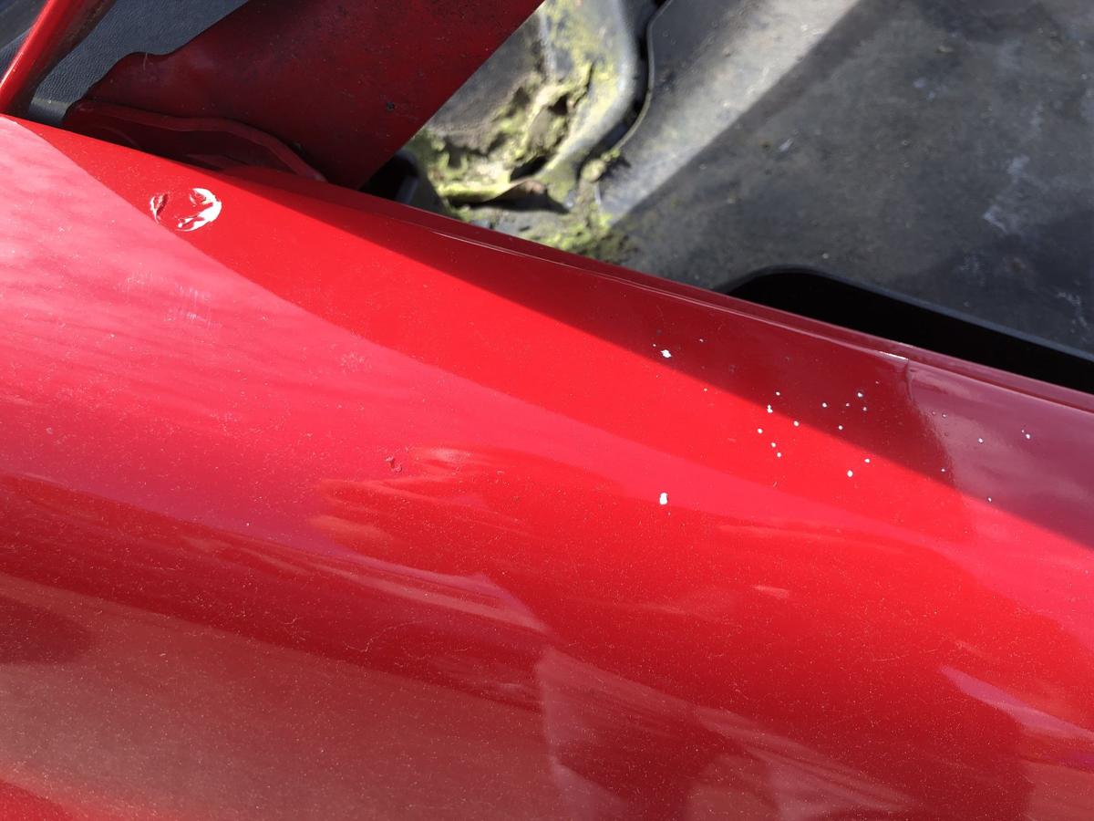 Renault Megane 2 II Grandtour Kotfl&uuml;gel vorn rechts Beifahrerseite OV727 Rot