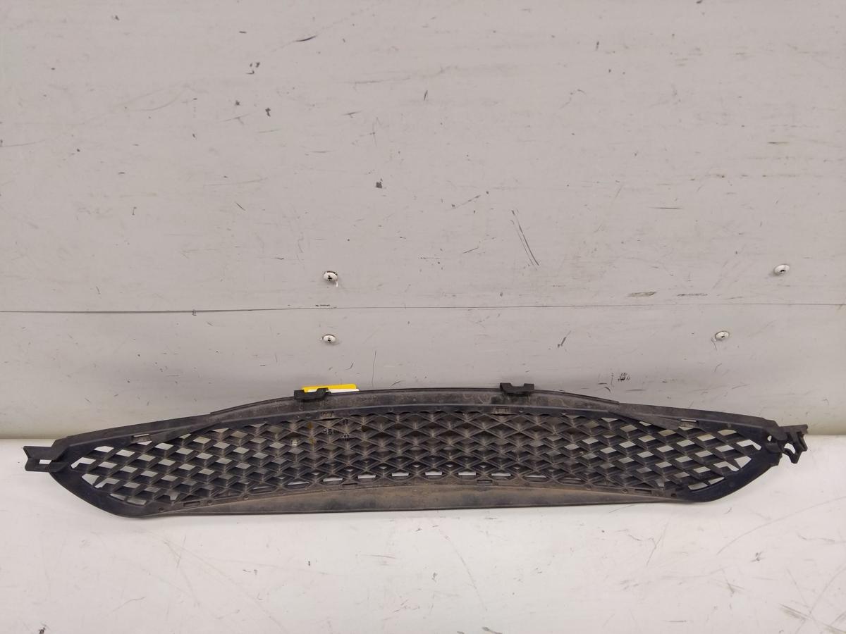Smart Forfour 454 original Grillgitter Stoßfänger vorn unten Bj.2006