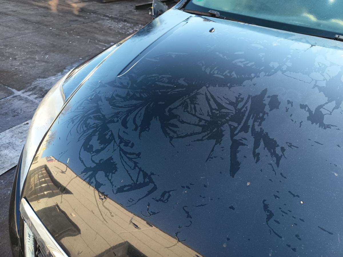 Ford Mondeo IV original Motorhaube Klappe/Deckel vorn/Front Pantherschwarz Bj 09