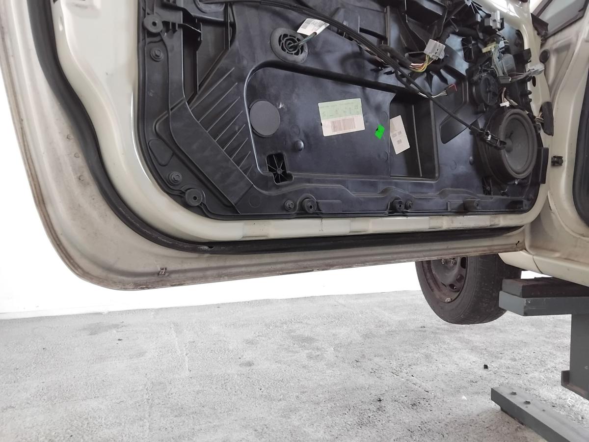 Ford Fiesta JA8 Tür vorn links Fahrertür 3-Türer Beige Atacama Metalic BJ2009