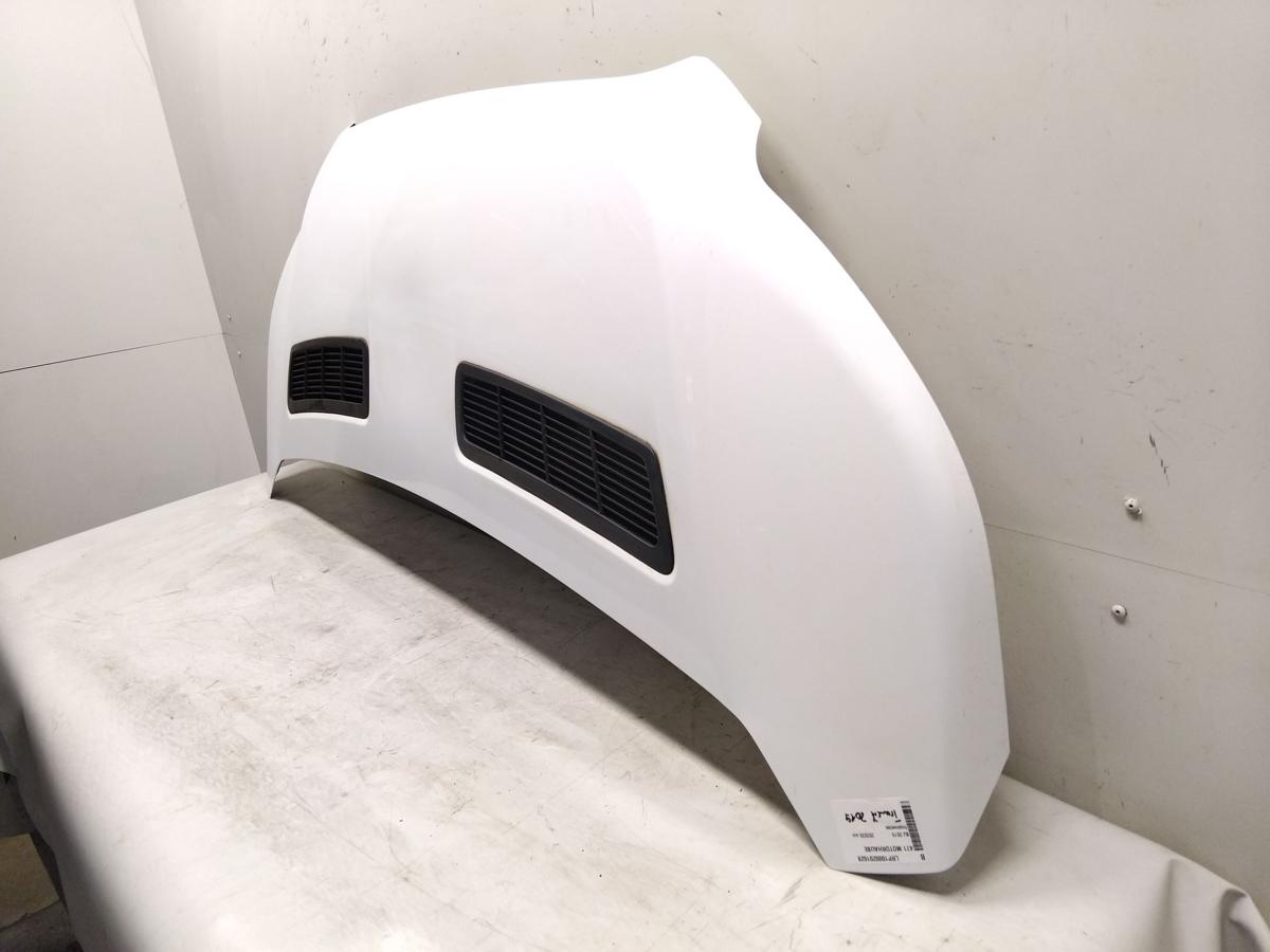 Ford Transit 7 original Motorhaube frostweiss Bj.2019 PBK31-A16612-BA