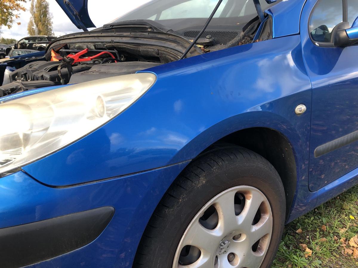 Peugeot 307 3A 3C Kotflügel vorn links Fender KMF blau