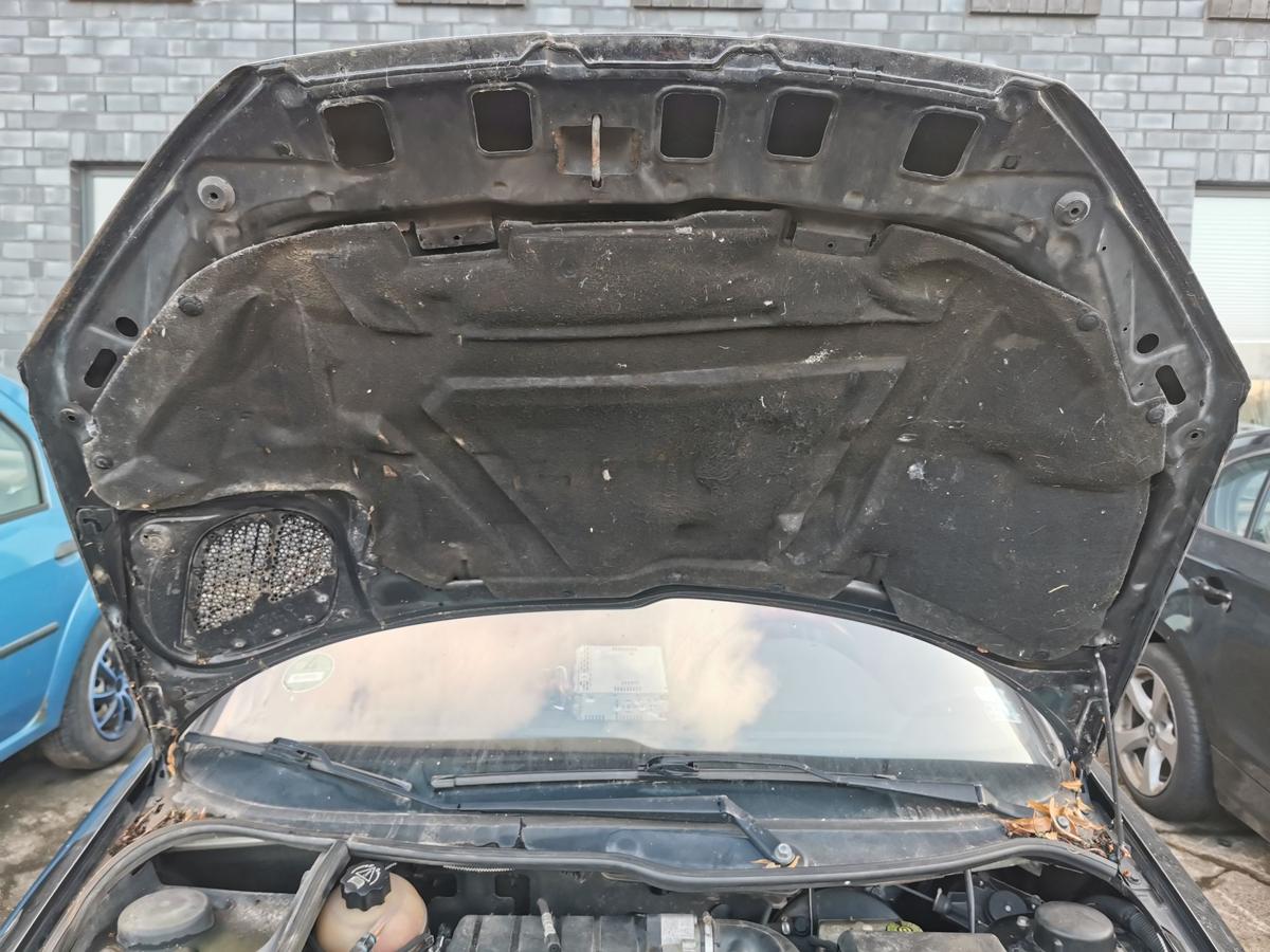 Peugeot 206 CC 2D Motorhaube Haube Klappe Deckel Bonnet vorn EXY Onyxschwarz