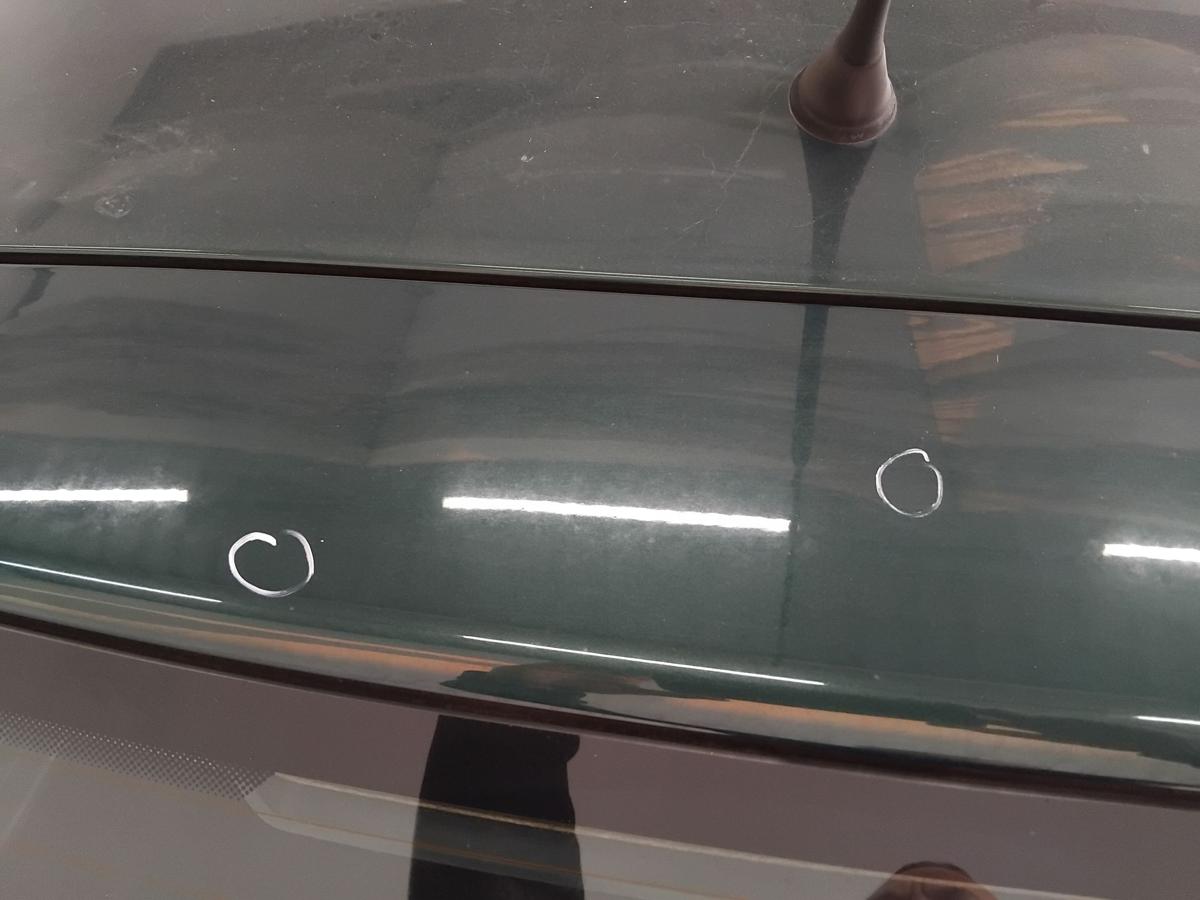 VW Golf 4 1J Fließheck Heckklappe LC6M Brightgreen mit Heckscheibe BJ2003