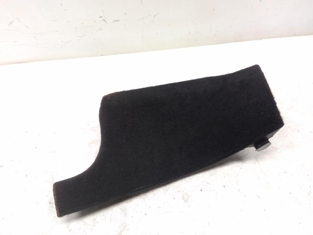 Tesla Model Y original Innenverkleidung Blende Einstieg hinten links 1704658-00-B Bj.2022