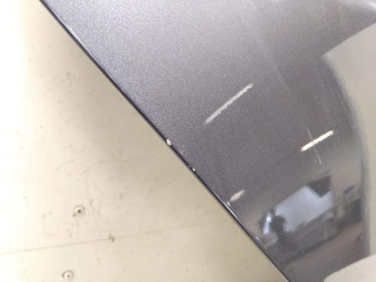 Tesla Model S Facelift Tür hinten rechts graumetallic PMNG steelgrey Bj.2023