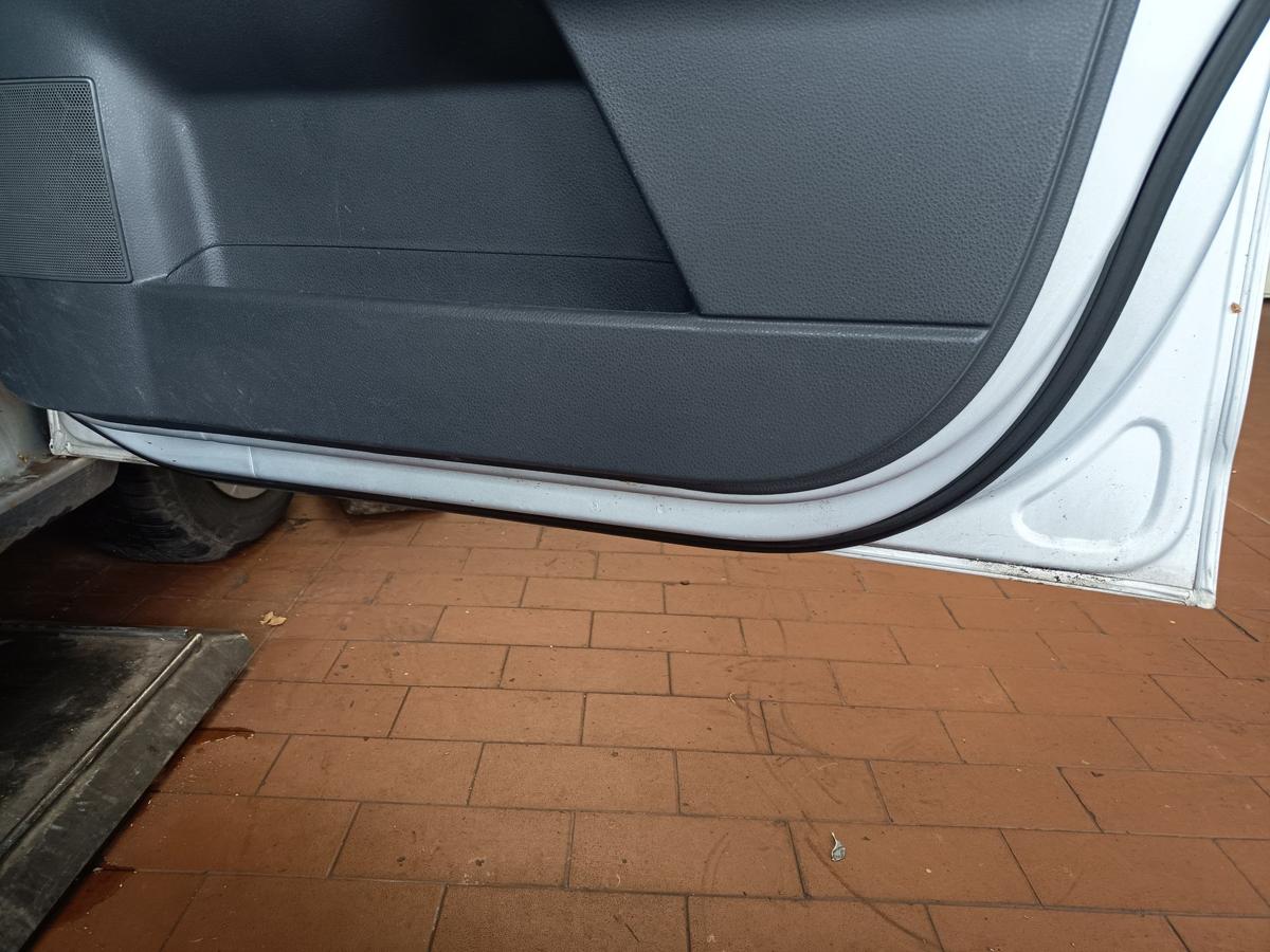 VW Polo 9N3 original T&uuml;r vorne rechts LA7W Reflexsilber Baujahr 2009
