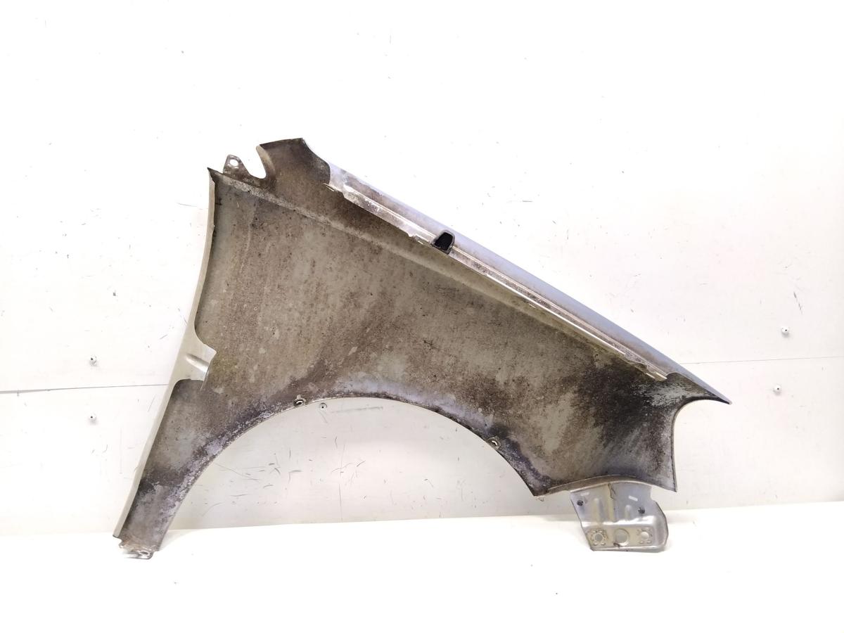 VW Polo 9N3 original Kotfl&uuml;gel vorn links LA7W reflexsilbermetallic BJ2007