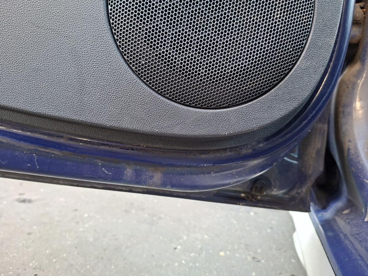 Dacia Sandero original Tür hinten links EZ 2010 OV61H-Blue Marine