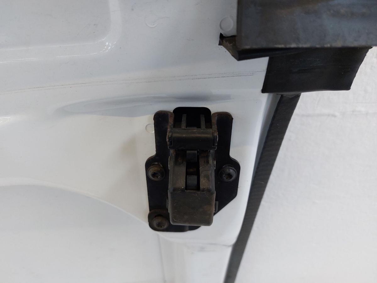 Peugeot Partner II 08 bis 12 Heckflügeltür rechts Hecktür Flügeltür o Scheibe