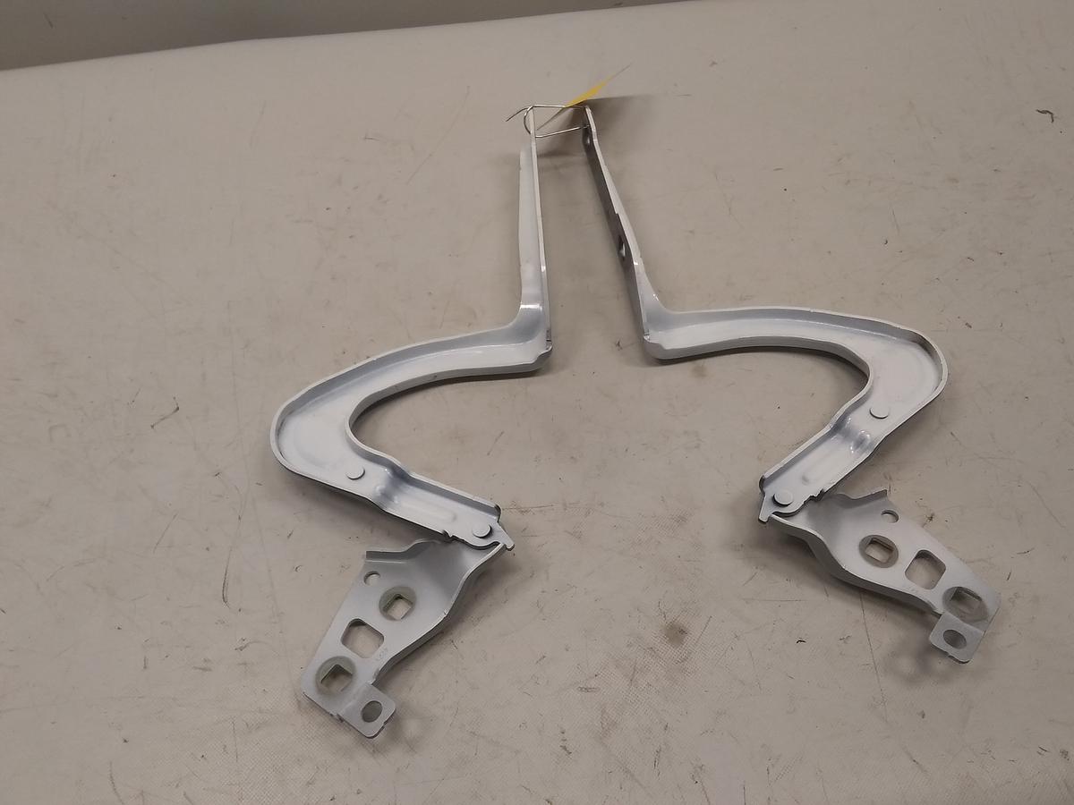 Tesla Model Y DM original Satz Scharniere Motorhaube unfallfrei