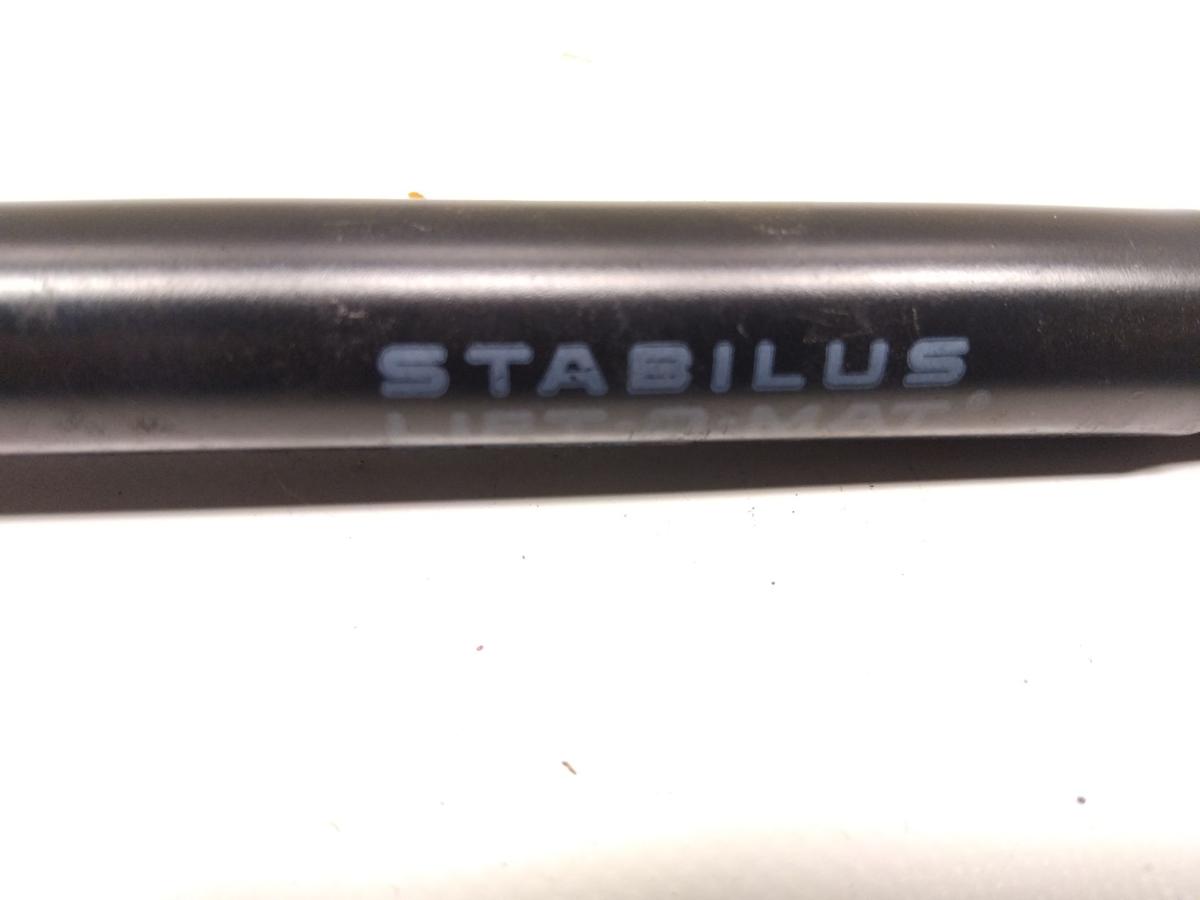 Tesla Model 3 original Satz Gasdruckzylinder Motorhaube 1091472-00-B Bj.2021