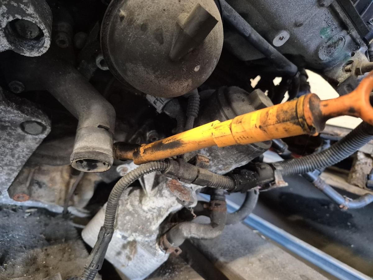 VW Sharan 7M Motor Engine 1,9TDI 96kw Motorcode ASZ BJ2005 eingeschränkte Gewährleistung