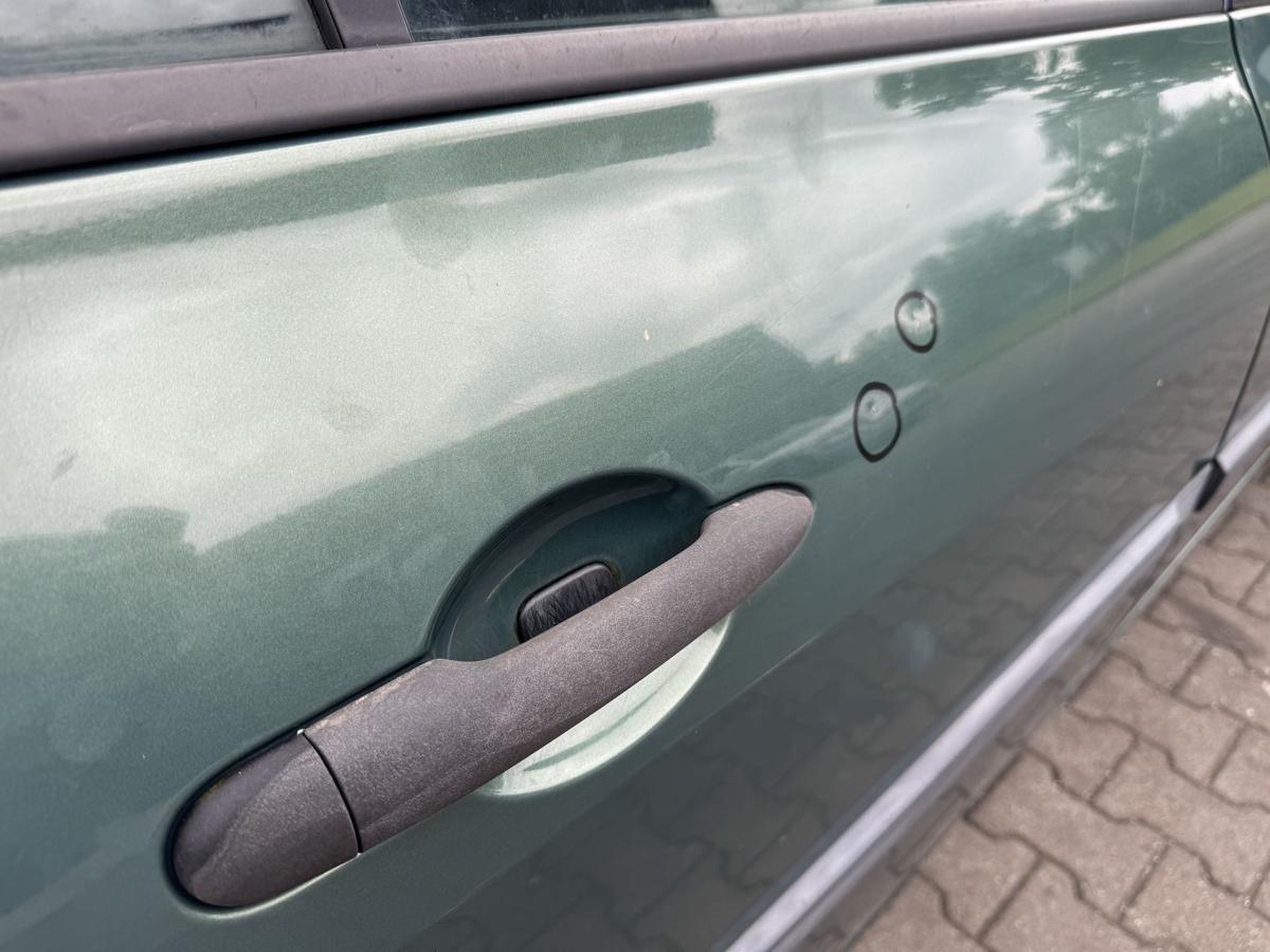 Renault Megane 2 original T&uuml;r hinten rechts D96 Vert Giverny Flie&szlig;heck Rohbau Bj.2004