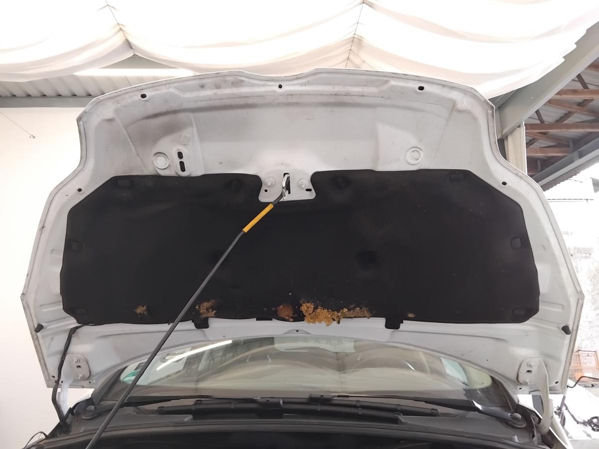 Ford Focus 3 DYB original Motorhaube Deckel vorn frostweiss BJ2013