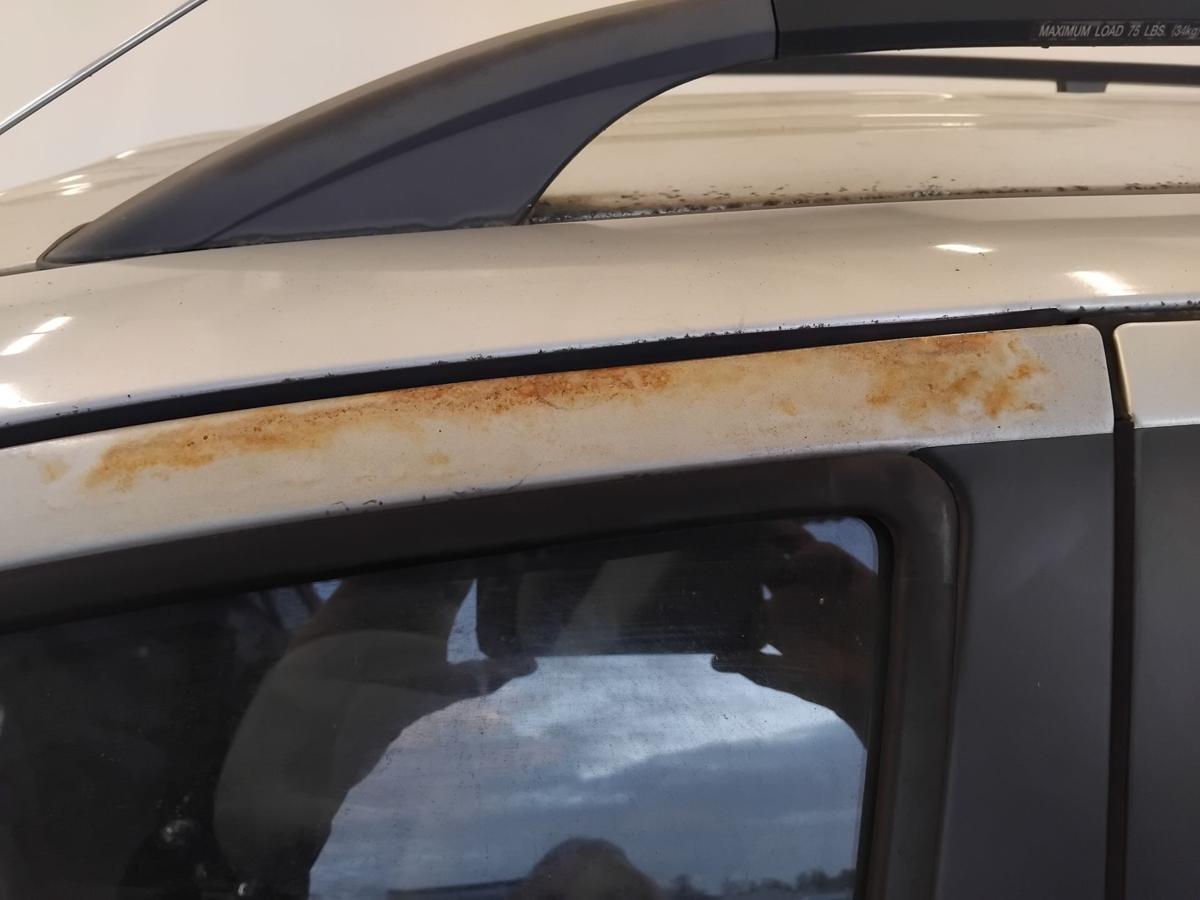 Hyundai Santa Fe SM Tür vorn links Fahrertür LS smart silvermetallic BJ2003