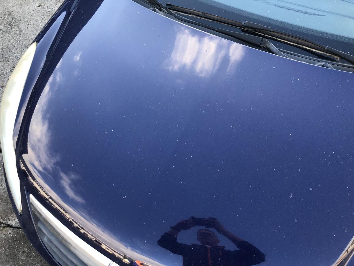 Opel Corsa D Motorhaube Haube Klappe Deckel vorn bis 2010 starker Rost Z20Z blau