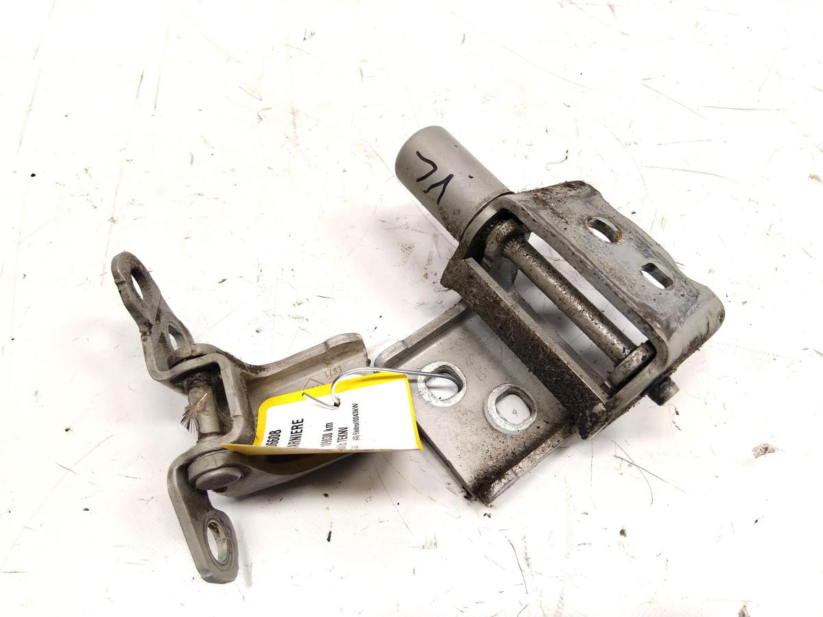 Renault Zoe original Satz T&uuml;rscharniere vorn links unfallfrei Bj.2015