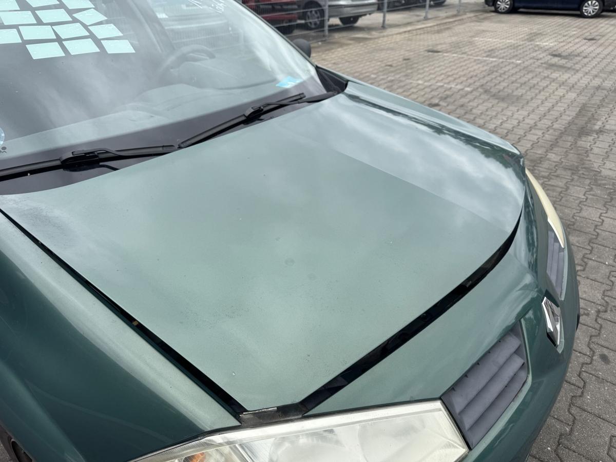 Renault Megane 2 original Motorhaube D96 Vert Giverny Metallic Bj.2004