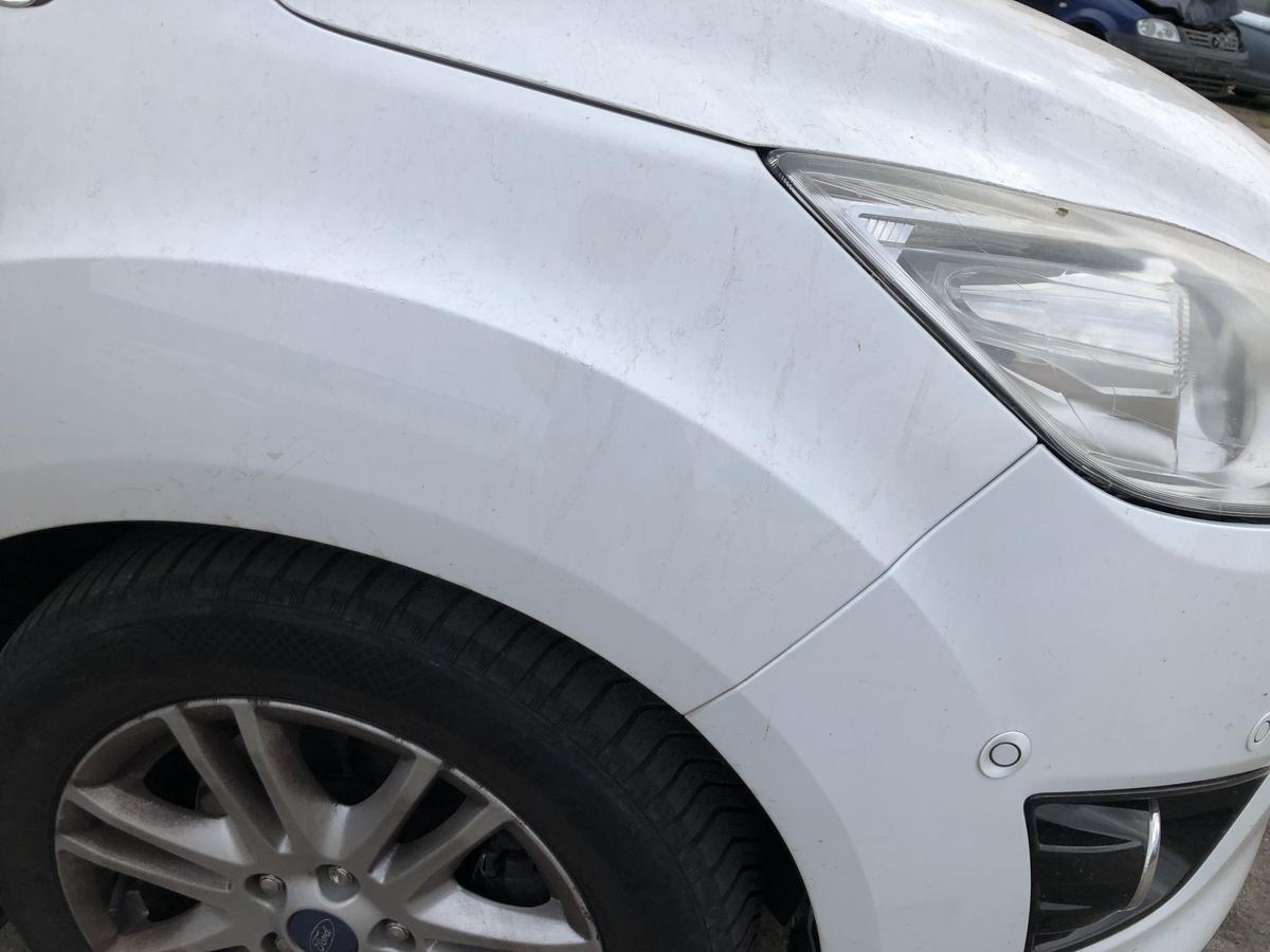 Ford C-Max CB7 Kotfl&uuml;gel vorn rechts Beifahrerseite Seitenwand Frost Wei&szlig;